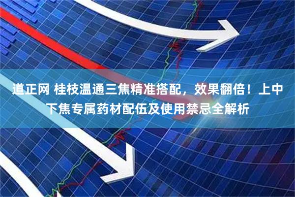 道正网 桂枝温通三焦精准搭配，效果翻倍！上中下焦专属药材配伍及使用禁忌全解析